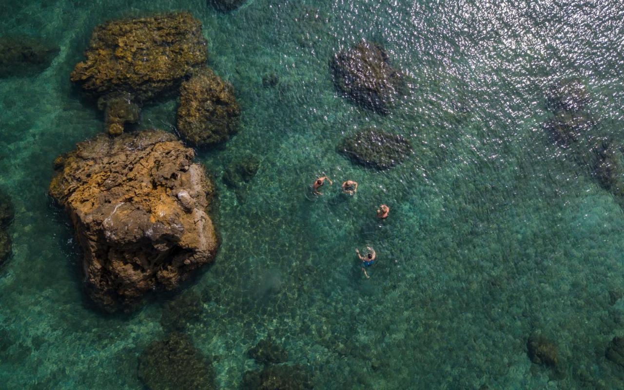 Los Vivos Beachfront Experience Pochote ภายนอก รูปภาพ