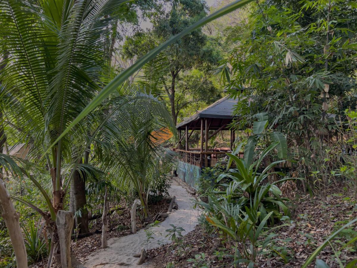 Los Vivos Beachfront Experience Pochote ภายนอก รูปภาพ