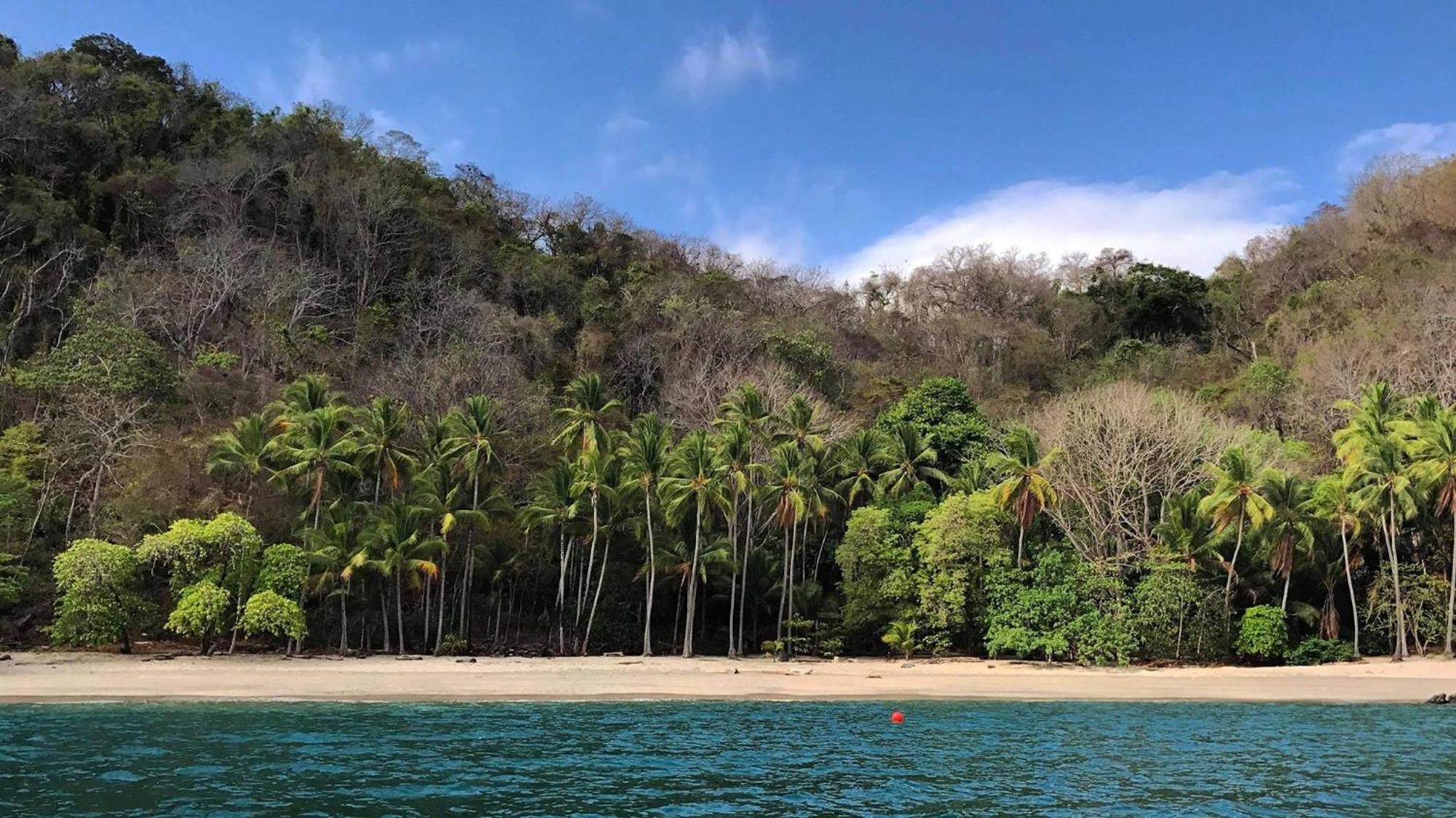 Los Vivos Beachfront Experience Pochote ภายนอก รูปภาพ